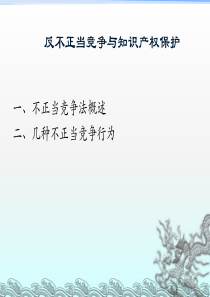 17反不正当竞争与知识产权保护（PPT39页)