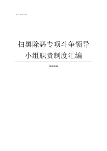 扫黑除恶专项斗争领导小组职责制度汇编