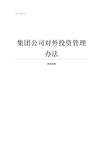 集团公司对外投资管理办法