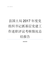 县国土局2017年度党组织书记抓基层党建工作述职评议考核情况总结报告2018中国最新国土面积