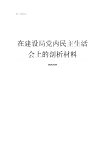 在建设局党内民主生活会上的剖析材料