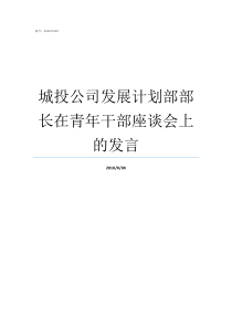 城投公司发展计划部部长在青年干部座谈会上的发言城投