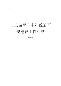 市土储局上半年综治平安建设工作总结