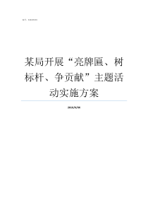 某局开展亮牌匾树标杆争贡献主题活动实施方案牌匾怎么设计亮