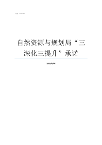 自然资源与规划局三深化三提升承诺自然资源和规划局前身