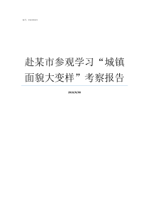 赴某市参观学习城镇面貌大变样考察报告