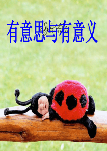有意思与有意义