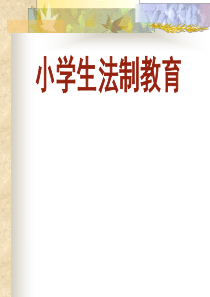 小学生宪法教育ppt
