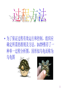 过程方法应用乌龟图