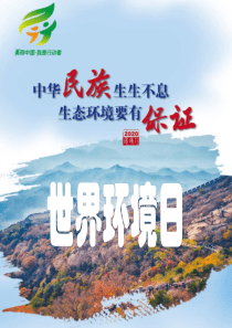 《世界环境日》课件