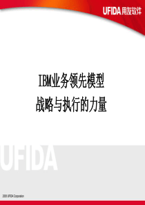 IBM业务领先模型