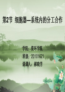 细胞器说课PPT