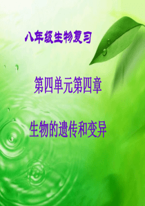 初中生物复习课件-生物的遗传和变异(共35张PPT)