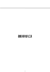 罗兰贝格战略分析工具1