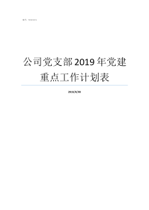 公司党支部2019年党建重点工作计划表2019年电梯公司排名