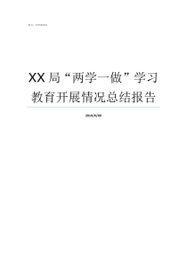 XX局两学一做学习教育开展情况总结报告