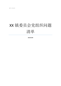 XX镇委员会党组织问题清单