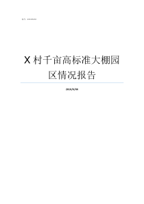X村千亩高标准大棚园区情况报告