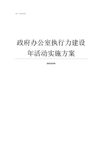 政府办公室执行力建设年活动实施方案