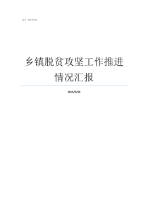 乡镇脱贫攻坚工作推进情况汇报