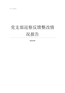 党支部巡察反馈整改情况报告党支部关于巡察整改情况