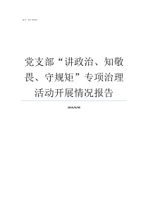 党支部讲政治知敬畏守规矩专项治理活动开展情况报告如何讲政治