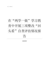 在两学一做学习教育中开展三项整改回头看自查评估情况报告