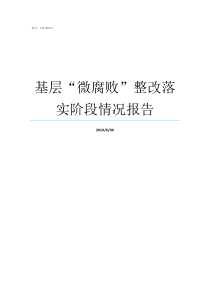 基层微腐败整改落实阶段情况报告