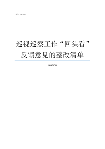 巡视巡察工作回头看反馈意见的整改清单
