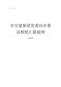 市交建集团党委向市委巡察组汇报提纲党委常委