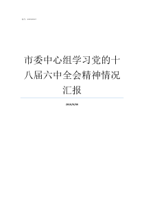 市委中心组学习党的十八届六中全会精神情况汇报