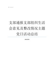 支部通报支部组织生活会意见及整改情况主题党日活动总结支部组织生活记录
