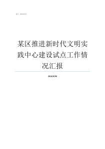 某区推进新时代文明实践中心建设试点工作情况汇报新时代文明建设