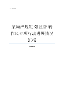 某局严规矩nbsp强监督nbsp转作风专项行动进展情况汇报关于开展严规矩强监督