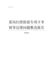 某局扫黑除恶专项斗争督导反馈问题整改报告