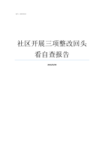 社区开展三项整改回头看自查报告