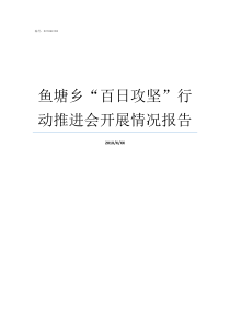 鱼塘乡百日攻坚行动推进会开展情况报告三个百日攻坚战贵州