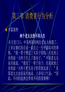 第3章  消费者行为分析