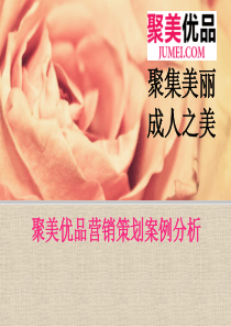 营销策划之聚美优品stp分析