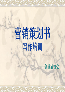 营销策划书写作培训 讲解