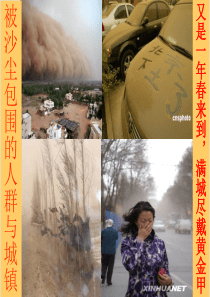 沙尘暴的概念、形成、危害和防治及我国沙尘暴情况