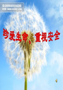 珍爱生命重视安全  班会课件