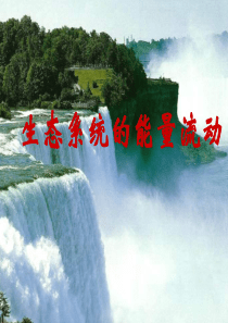 高二生物生态系统的能量流动2