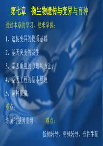 7-微生物的遗传变异与菌种选育