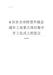 X区在全市转型升级会战年工业重大项目集中开工仪式上的发言X