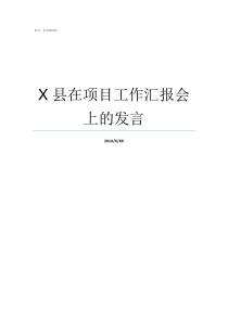 X县在项目工作汇报会上的发言县X是什么