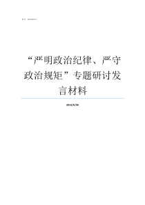 严明政治纪律严守政治规矩专题研讨发言材料如何严明党的政治纪律