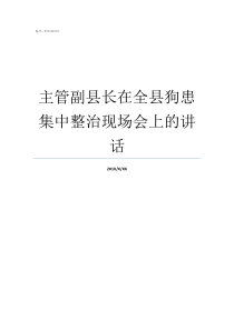 主管副县长在全县狗患集中整治现场会上的讲话副县长