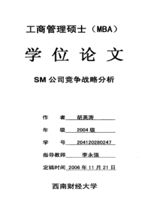 SM公司竞争战略分析