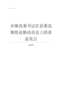 乡镇党委书记在县委巡察组巡察动员会上的表态发言